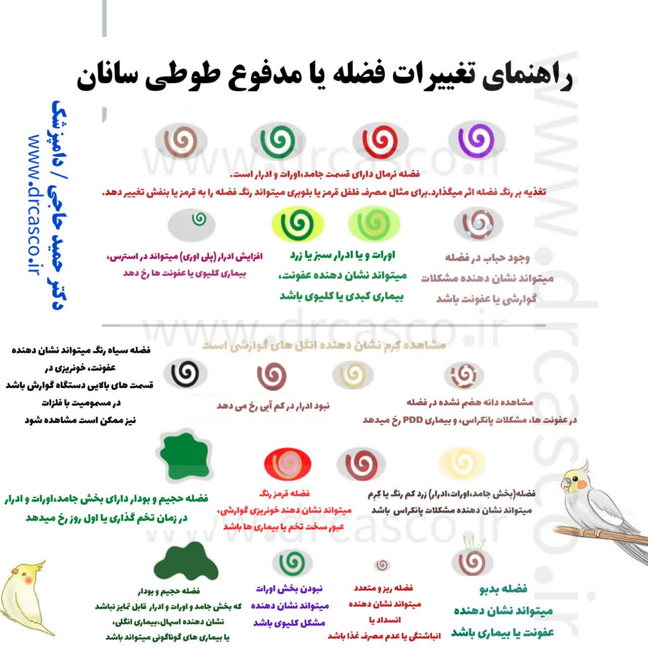 مدفوع آبکی در پرندگان